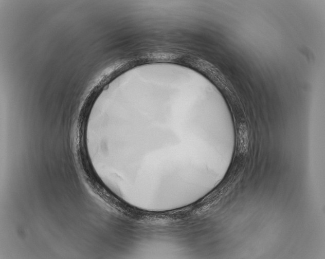 X0000111240726200908131144