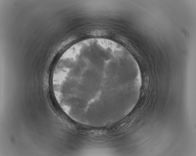 X0000111240727200908131144