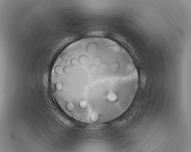 X0000111240729200908131144