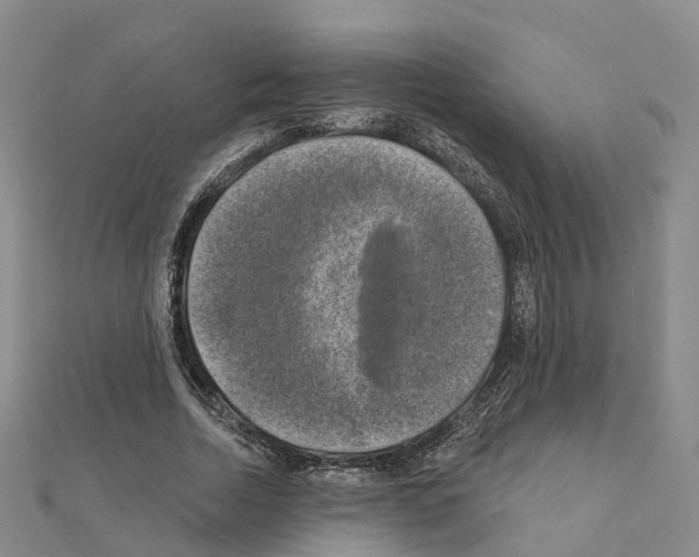 X0000111240730200908131144