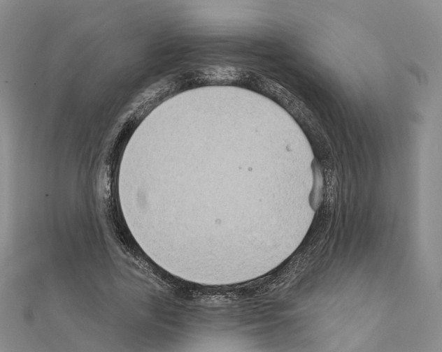 X0000111240731200908131144