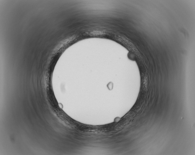 X0000111240732200908131144