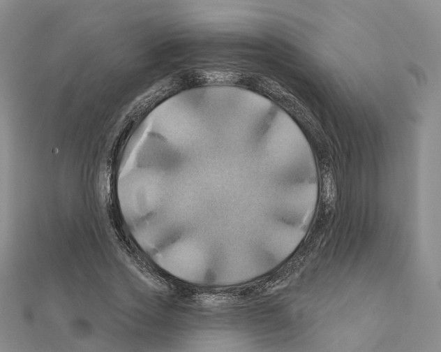 X0000111240733200908131144
