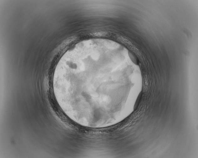 X0000111240734200908131144