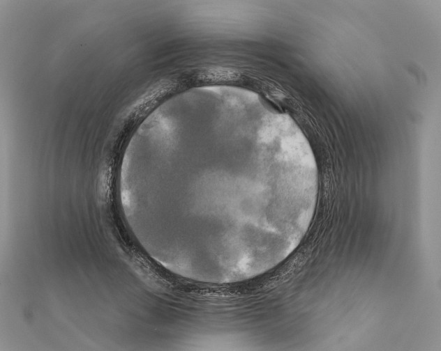 X0000111240735200908131144