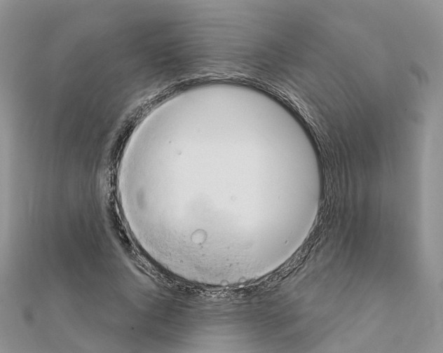 X0000111240736200908131144