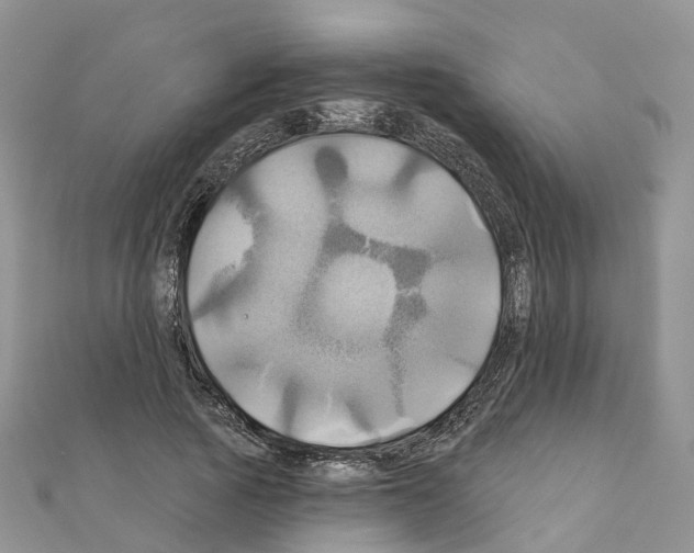 X0000111240737200908131144