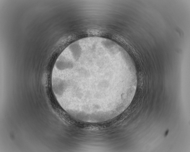 X0000111240738200908131144