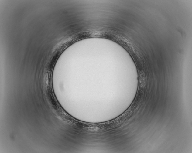 X0000111240740200908131144
