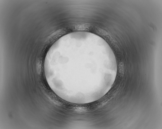 X0000111240741200908131144