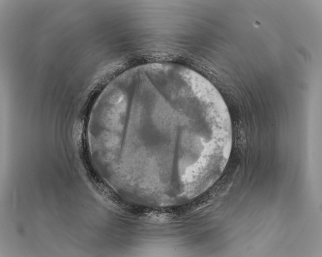 X0000111240742200908131144
