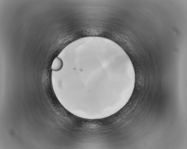 X0000111240743200908131144