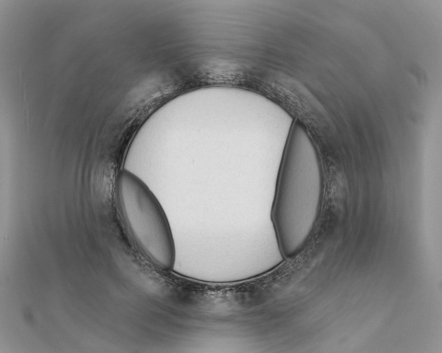 X0000111240744200908131144