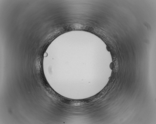 X0000111240746200908131144
