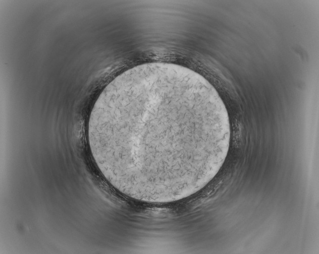 X0000111240748200908131144