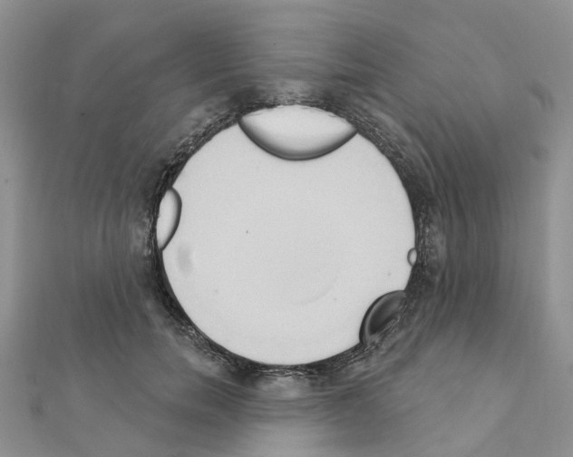 X0000111240750200908131144