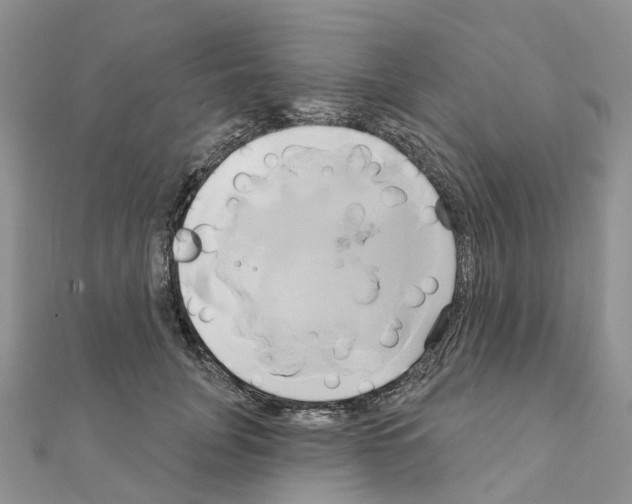 X0000111240751200908131144