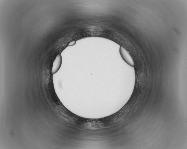 X0000111240752200908131144