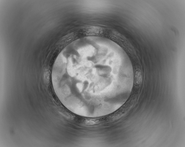 X0000111240753200908131144