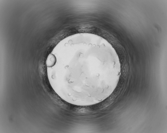 X0000111240755200908131144
