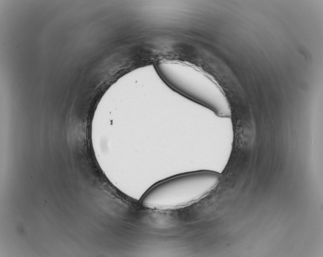 X0000111240756200908131144