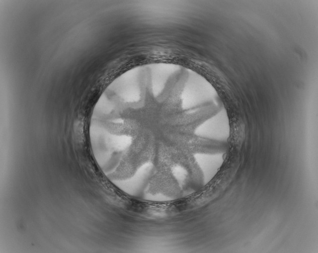X0000111240757200908131144