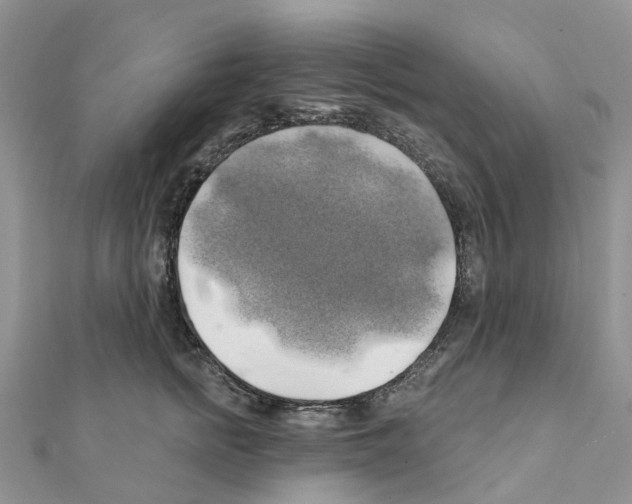 X0000111240758200908131144