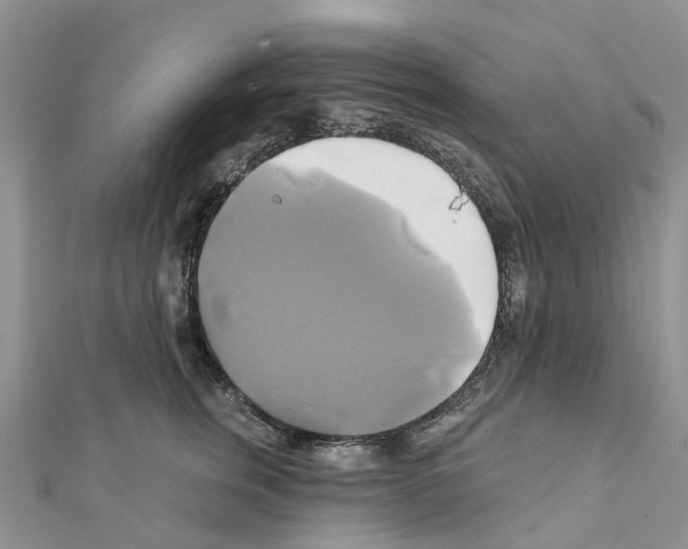 X0000111240759200908131144