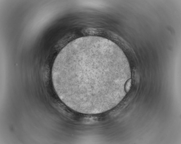 X0000111240760200908131144