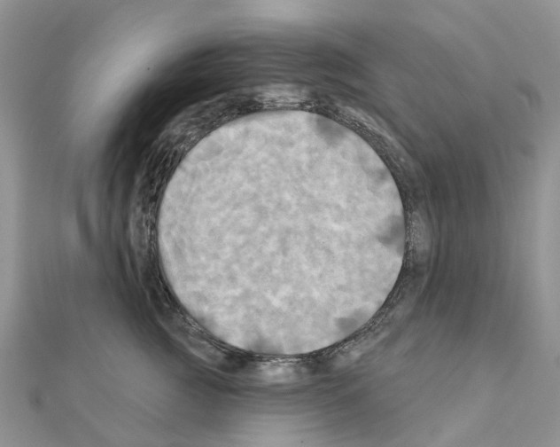 X0000111240761200908131144