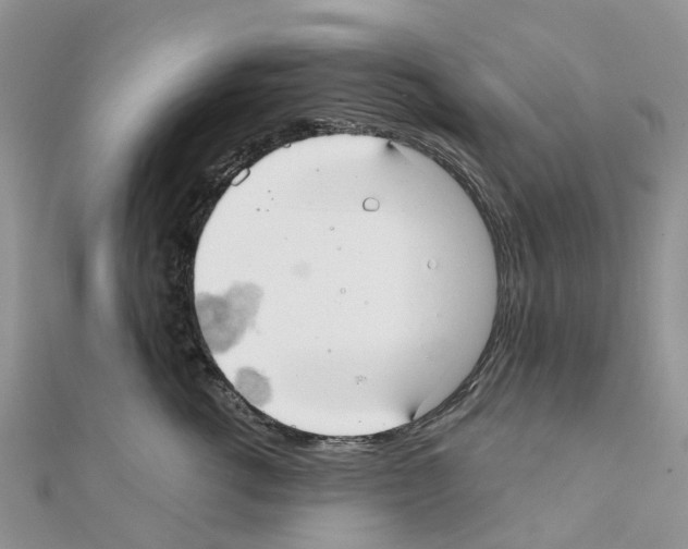 X0000111240762200908131144