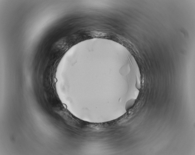 X0000111240763200908131144