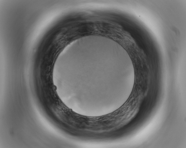 X0000111240766200908131144