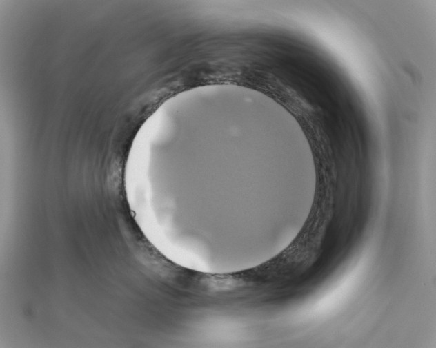 X0000111240767200908131144