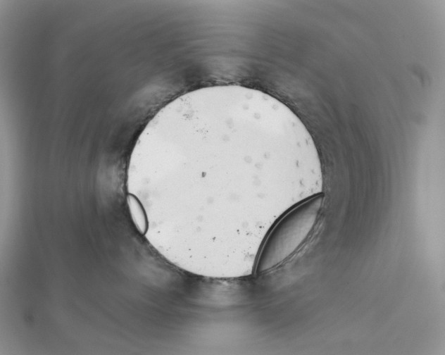 X0000111240768200908131144