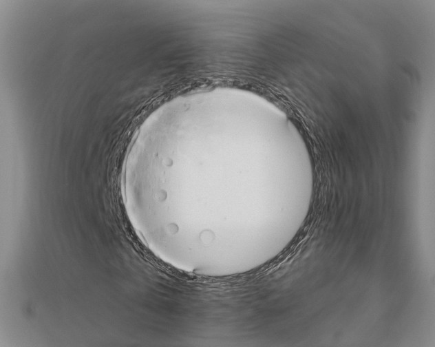 X0000111240769200908131144
