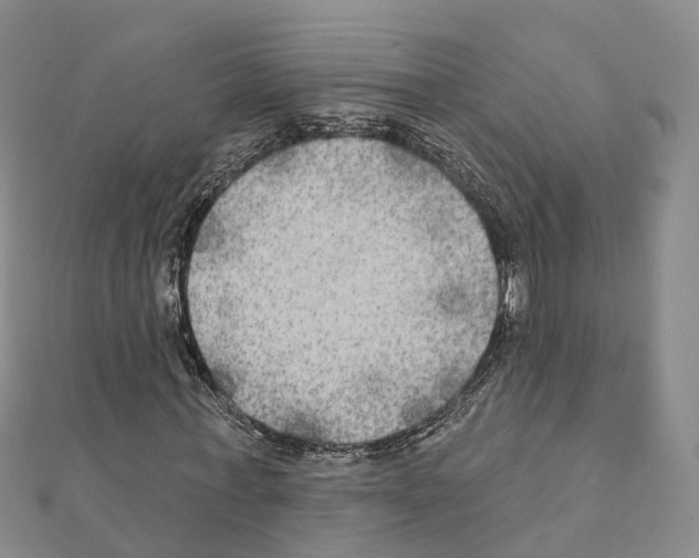 X0000111240771200908131144