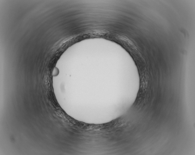 X0000111240773200908131144