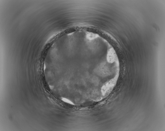 X0000111240775200908131144