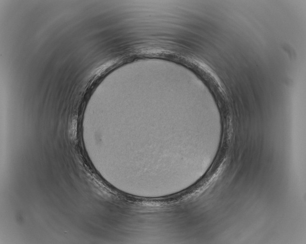 X0000111240777200908131144