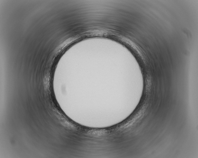 X0000111240778200908131144