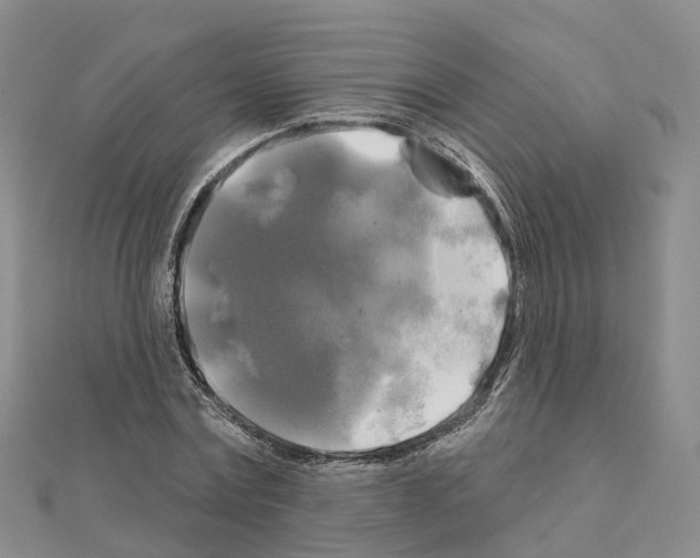X0000111240779200908131144
