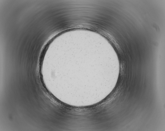 X0000111240780200908131144