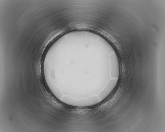 X0000111240782200908131144