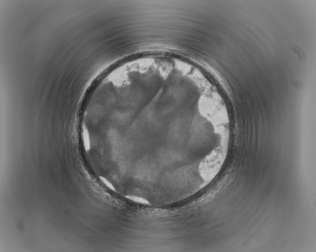 X0000111240783200908131144