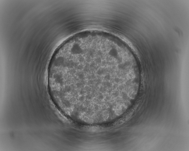X0000111240791200908131143