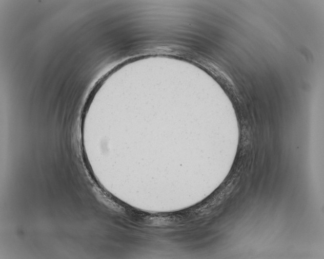 X0000111240792200908131143