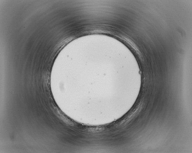 X0000111240793200908131143