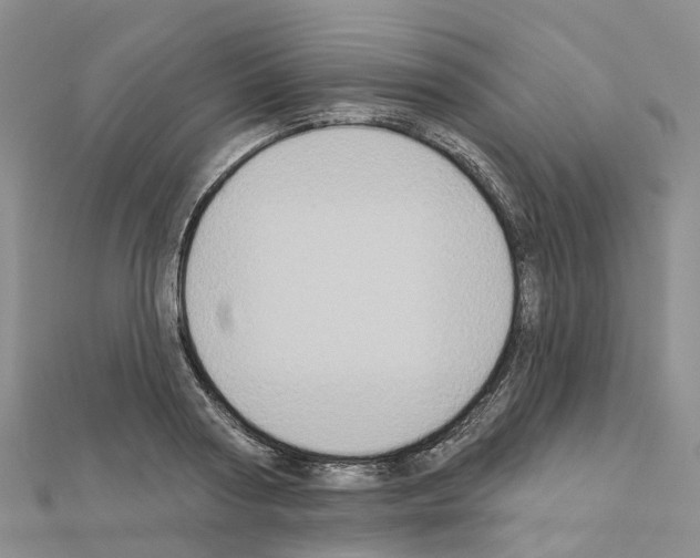 X0000111240794200908131143