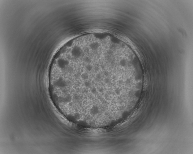 X0000111240795200908131143
